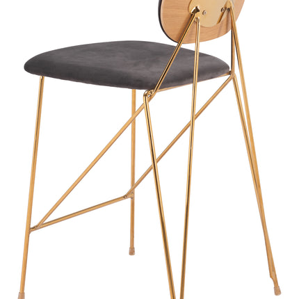 Georges Counter Stool (Set of 2) Gray & Gold Counter Stools [TriadCommerceInc]   