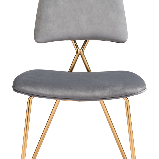 Chloe Dining Chair (Set of 2) Gray & Gold Chairs TriadCommerceInc   