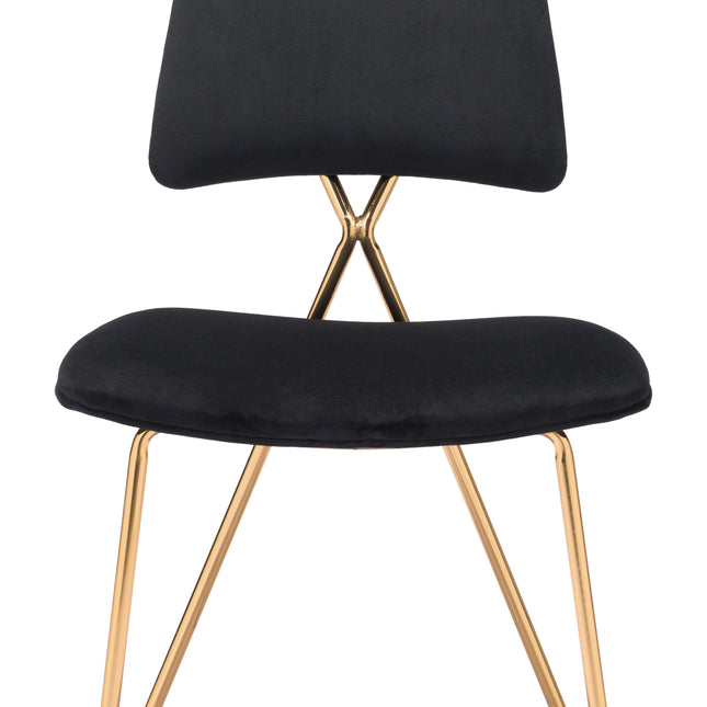 Chloe Dining Chair (Set of 2) Black & Gold Chairs TriadCommerceInc   