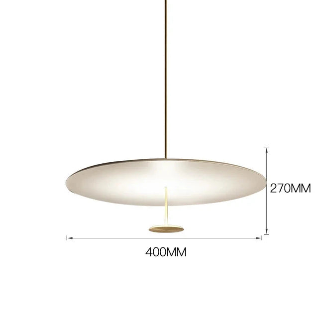 Minimalist Ring Chandeliers Chandeliers TriadCommerceInc Golden-B-40CM Warm Light 