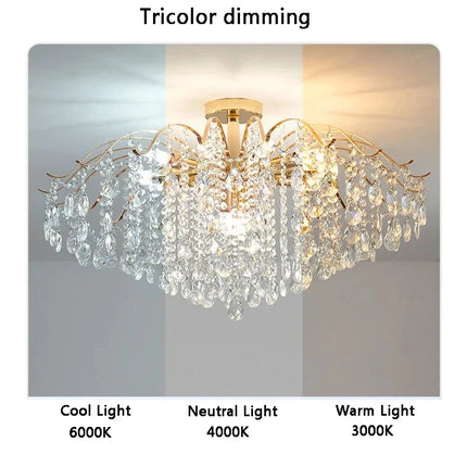 Modern Crystal Lights Chandelier Chandelier TriadCommerceInc   