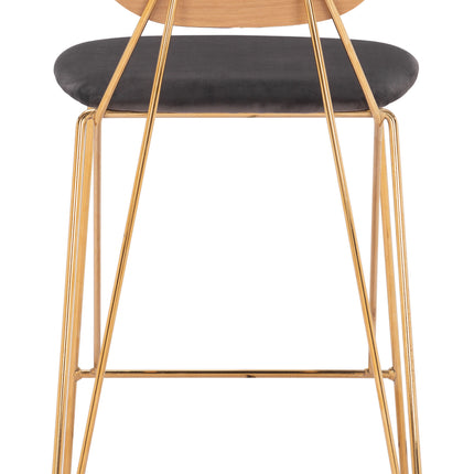 Georges Counter Stool (Set of 2) Gray & Gold Counter Stools [TriadCommerceInc]   