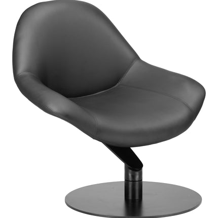 Poole Accent Chair Black Chairs [TriadCommerceInc] Default Title  