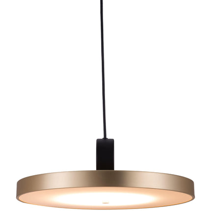 Mozu Ceiling Lamp Gold & Black Pendant Lights [TriadCommerceInc]   