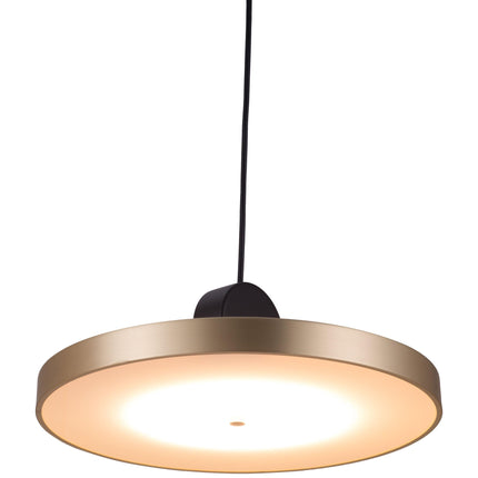 Mozu Ceiling Lamp Gold & Black Pendant Lights [TriadCommerceInc]   