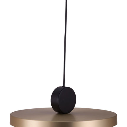 Mozu Ceiling Lamp Gold & Black Pendant Lights TriadCommerceInc   